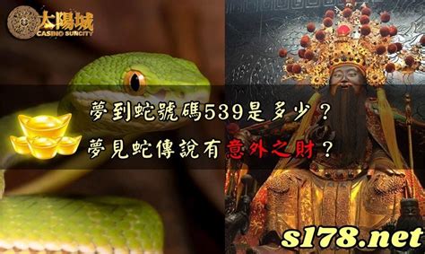 蛇幾號|夢到蛇539買6號？情境不同號碼不同，被蛇咬居然是。